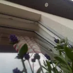 Ferienhaus Osada Kalinowa Nowecin Sauna Leba