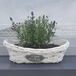 Osada Kalinowa Nowecin Sauna *