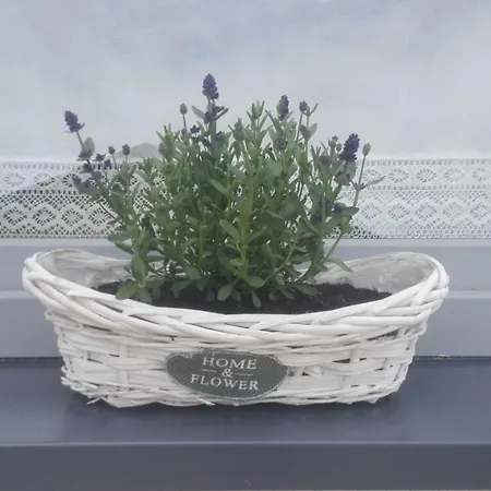Osada Kalinowa Nowecin Sauna *