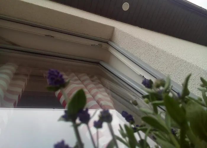 度假居 Osada Kalinowa Nowecin Sauna 莱鲍