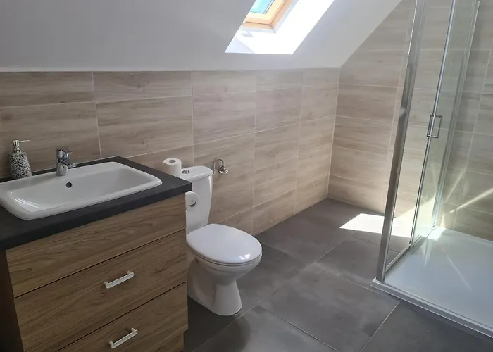 度假居 Osada Kalinowa Nowecin Sauna 莱鲍