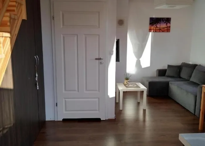 度假居 Osada Kalinowa Nowecin Sauna