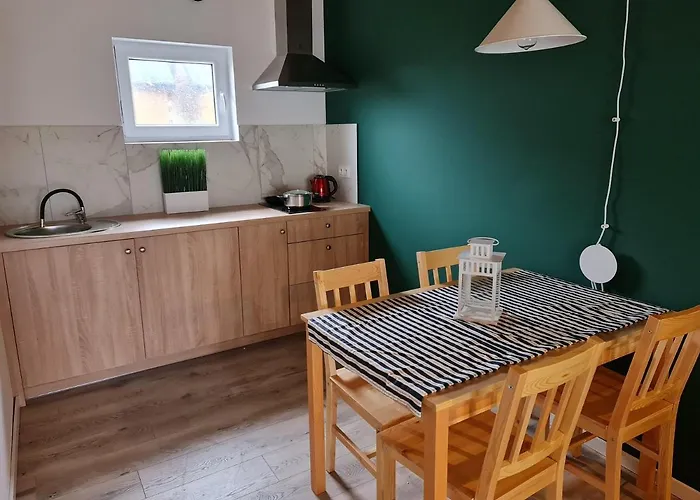 度假居 Osada Kalinowa Nowecin Sauna 莱鲍