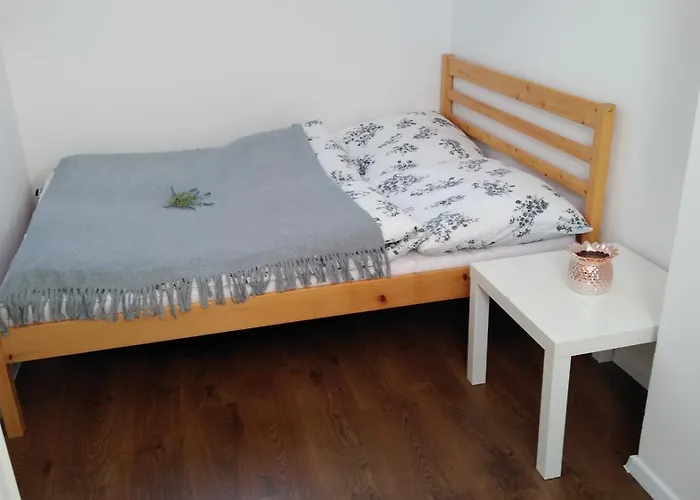 度假居 Osada Kalinowa Nowecin Sauna