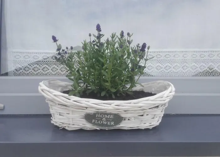 Osada Kalinowa Nowecin Sauna *